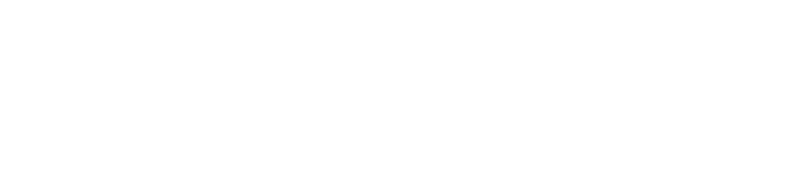 Discover South Carolina